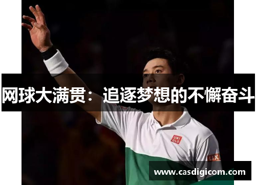 网球大满贯：追逐梦想的不懈奋斗