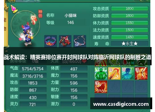 战术解读：精英赛排位赛开封网球队对阵临沂网球队的制胜之道